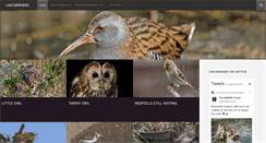 Desktop Screenshot of lincsbirders.org